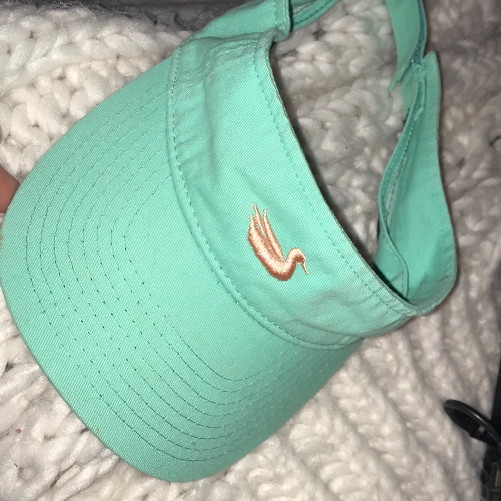 Southern marsh hat